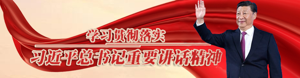 學(xué)習(xí)貫徹習(xí)近平總書(shū)記重要講話(huà)精神
