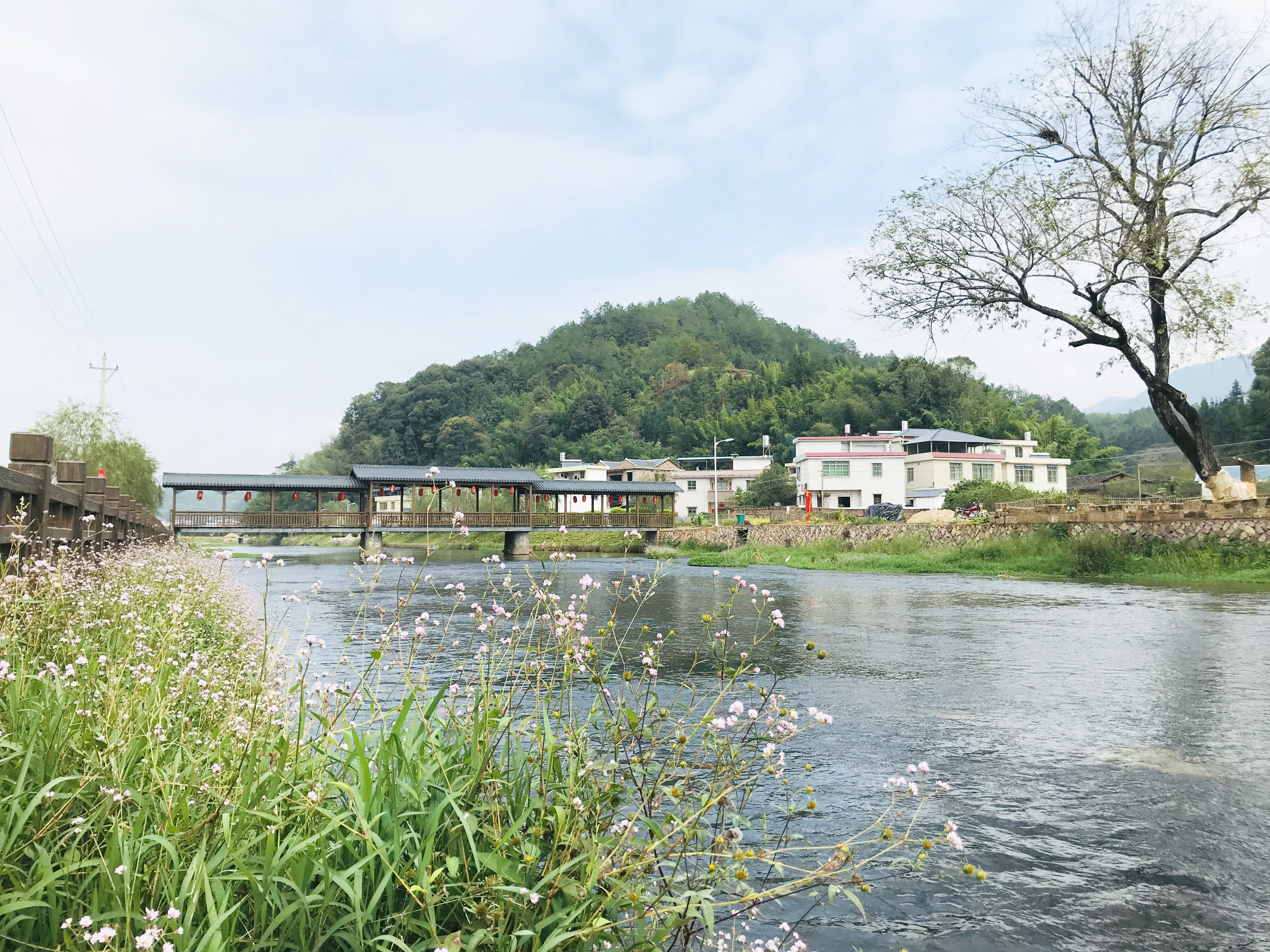 沿河生態(tài)治理及風(fēng)雨橋.jpg