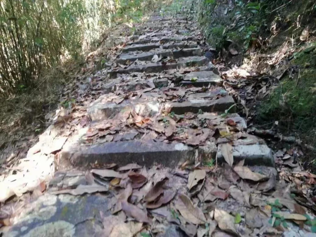 3.石壁腦古道.jpg
