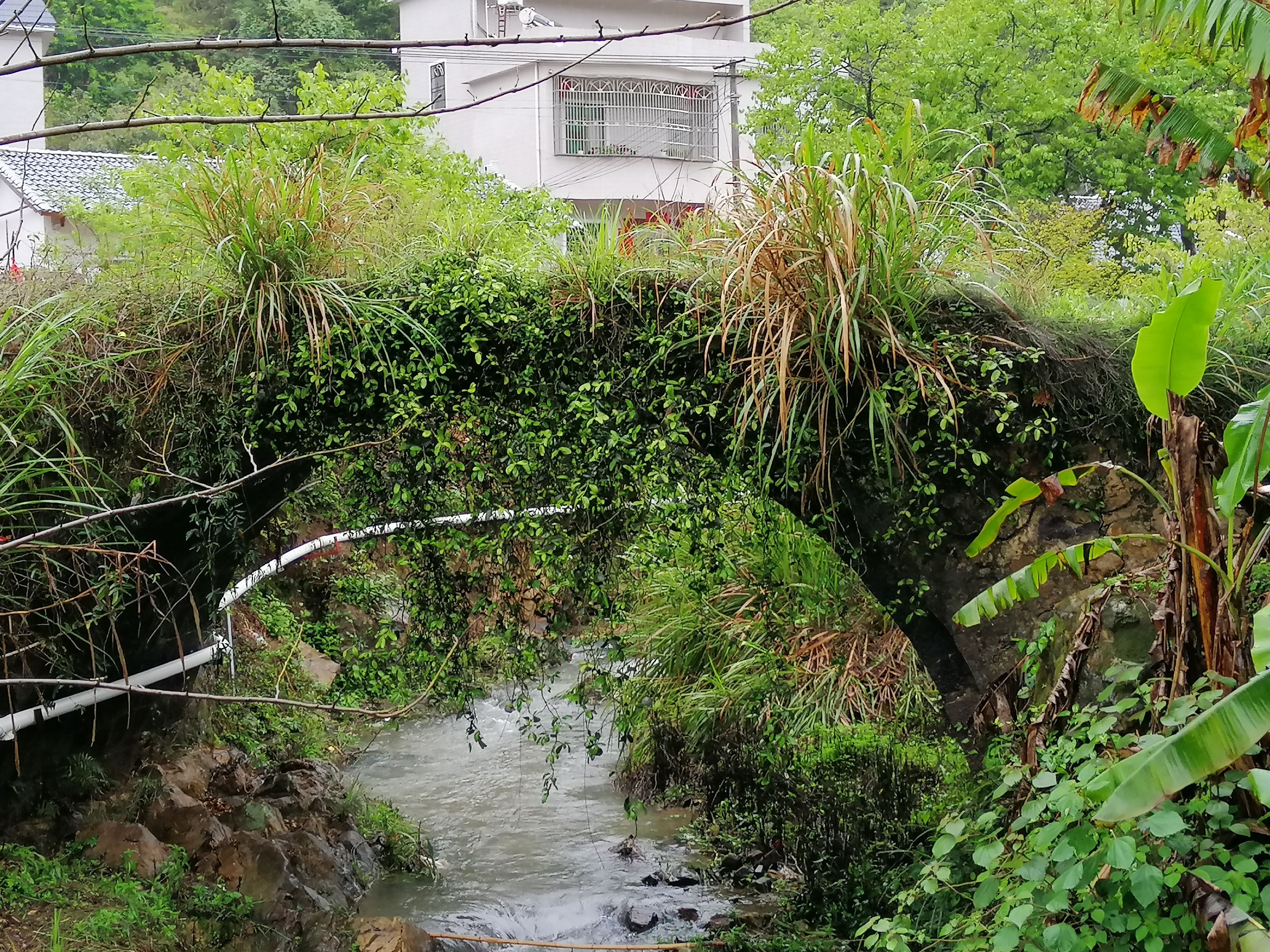 5.畬腦村古橋②.jpg