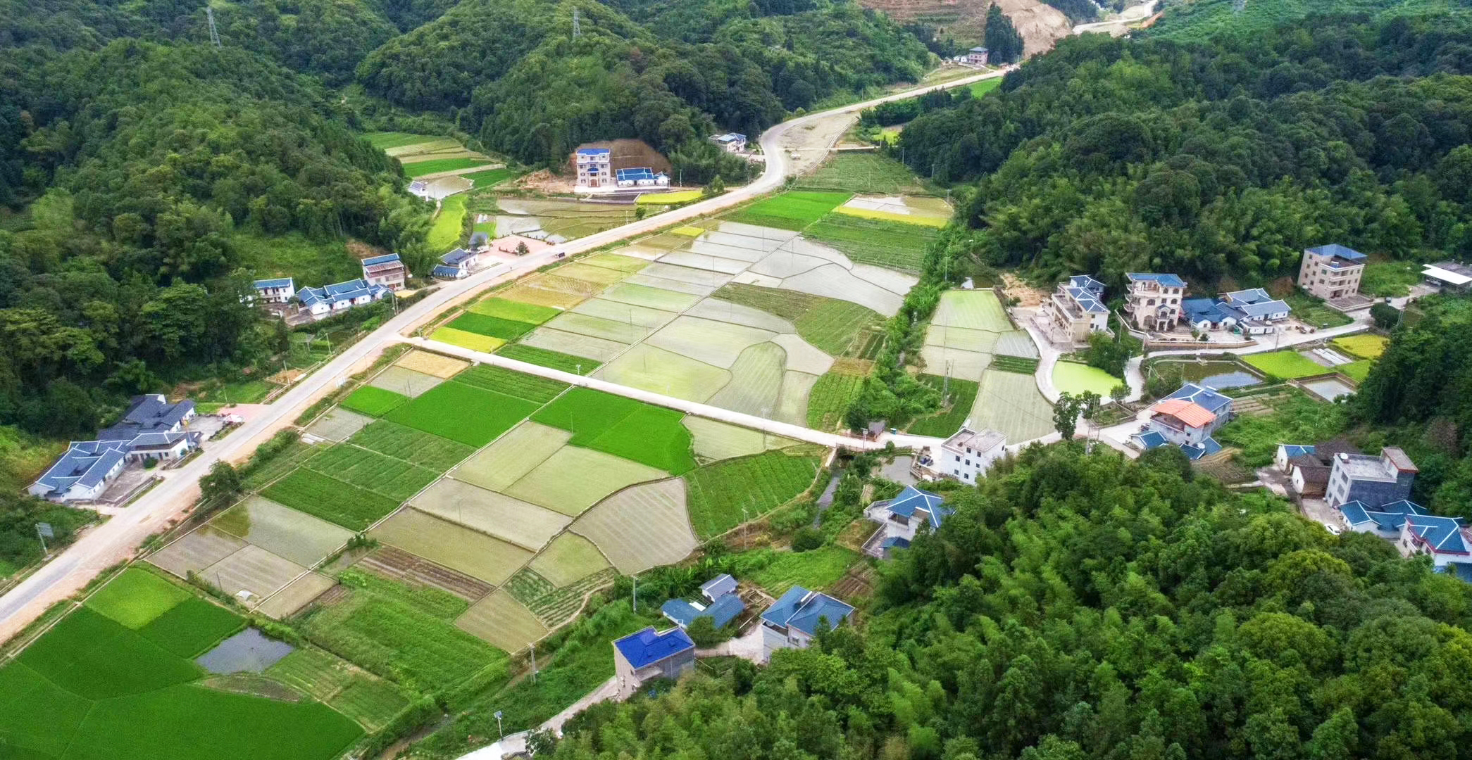 美麗黃沙一.jpg