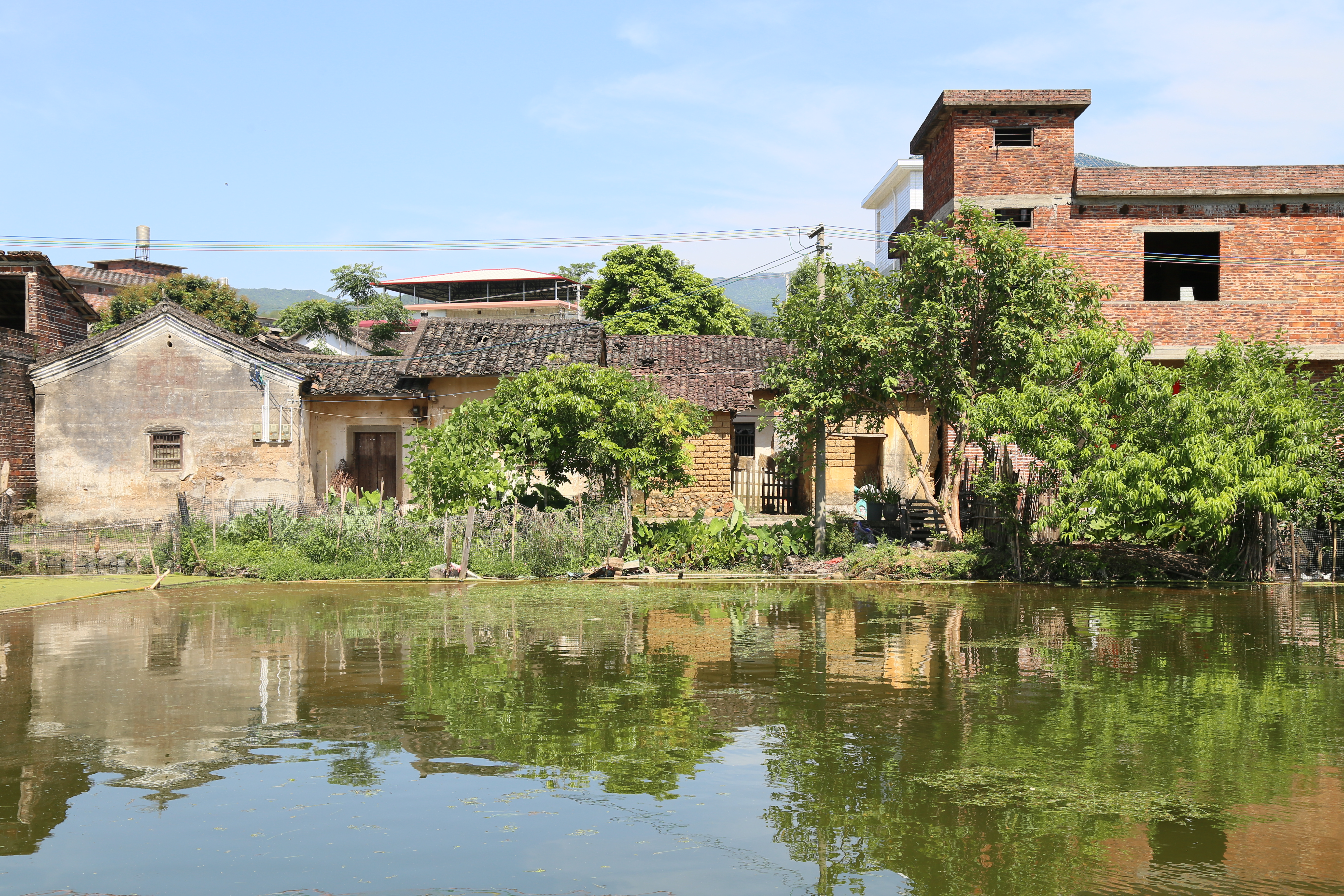 4：林震故居.jpg