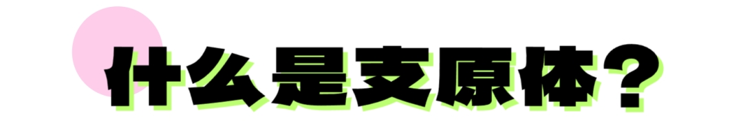 de50c897da380346b4c399079e50069d.png