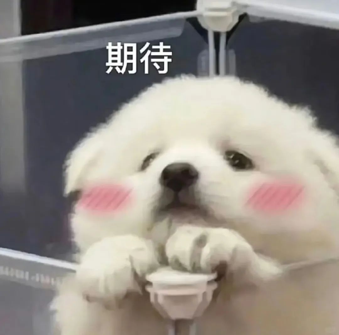c291c982a5c1c3c3435e2503f1ee1b50_compress.jpeg